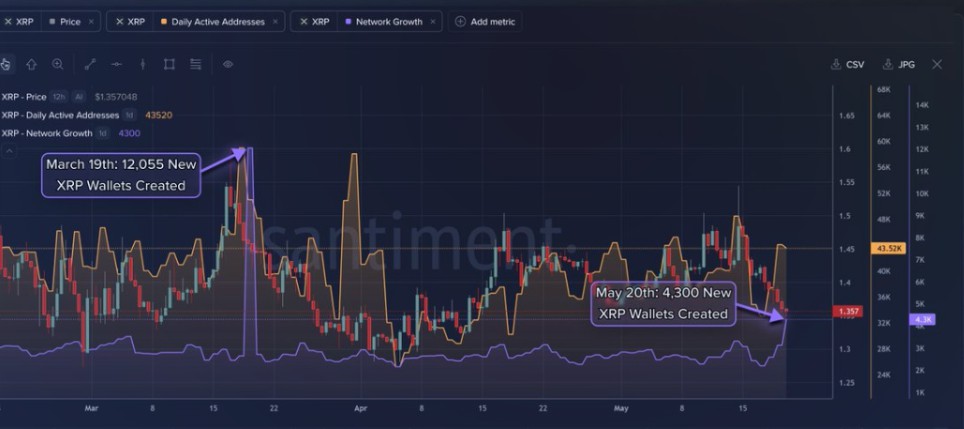 XRP 新增 4300 钱包，价不动藏何玄机？
