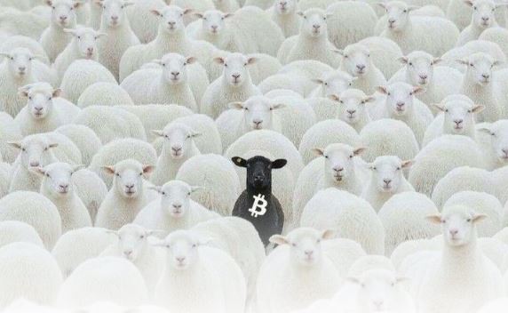 链上数据拆解:BTC从 8 万下跌，未平仓合约创年内新高，三组指标解读当前市场结构
