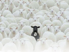 链上数据深析：BTC 自 8 万滑落，未平仓合约登峰，三维度透视市场架构