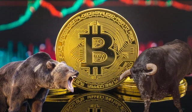 加密货币牛熊周期指南：如何识别市场转折点？