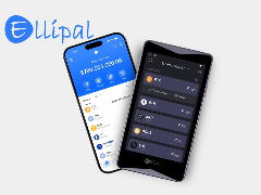 深度解析Ellipal钱包：全隔离架构下的安全性与国内使用体验评估