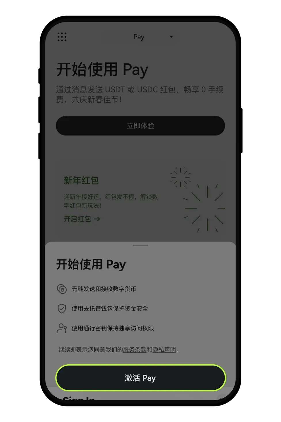 步骤 2：根据操作提示激活 Pay 账户：