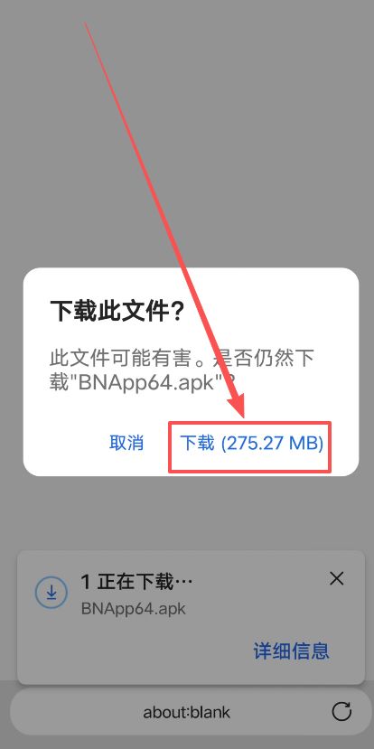 如何下载币安交易所？（安卓版）_图 4