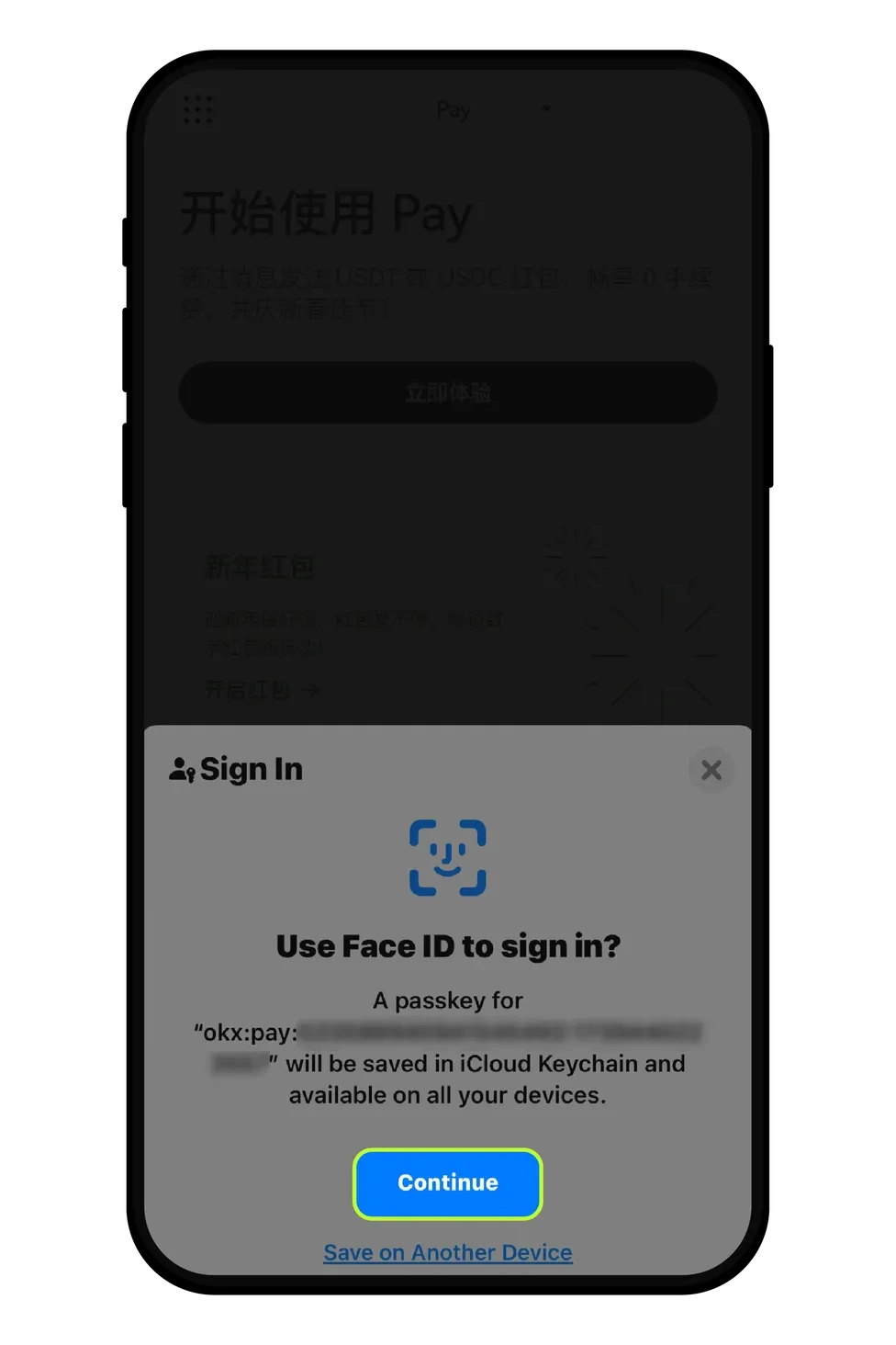步骤 2：根据操作提示激活 Pay 账户：_图2