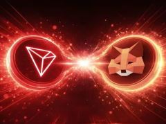 MetaMask如何接入波场网络？详细教程及钱包对比分析