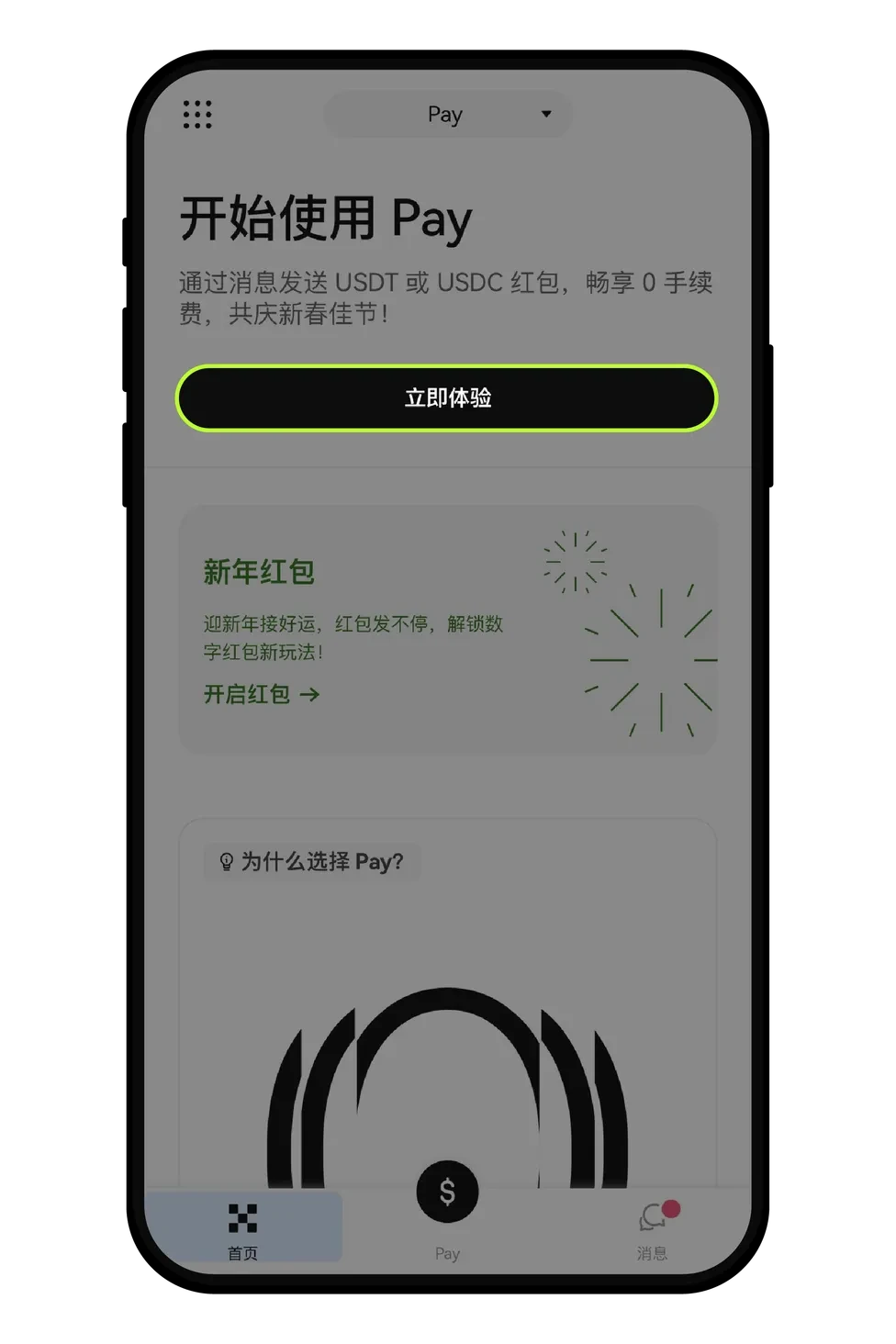 步骤 1：切换至 Pay 首页_图3