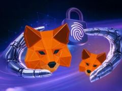 MetaMask令牌权限撤销指南：如何解除授权以保障资产安全