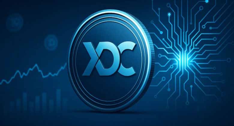 XDC网络(XDC)币:为贸易融资缺口打造的混合区块链,一文详解