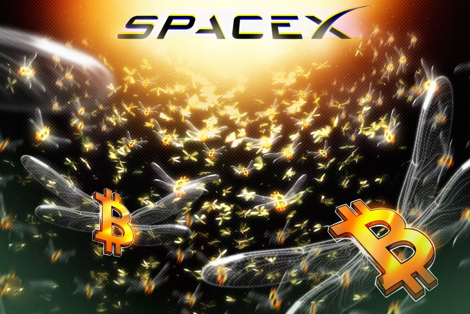 SpaceX披露IPO文件，比特币（BTC）持仓量远超此前预估