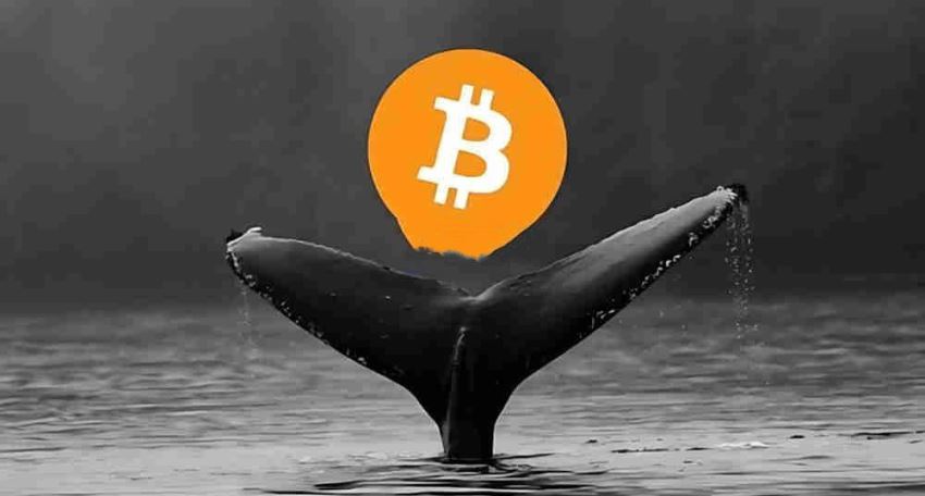 中本聪的比特币值多少钱？值多少人民币呢？