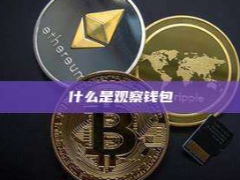 什么是观察钱包（Watch-only）？新手入门完全指南