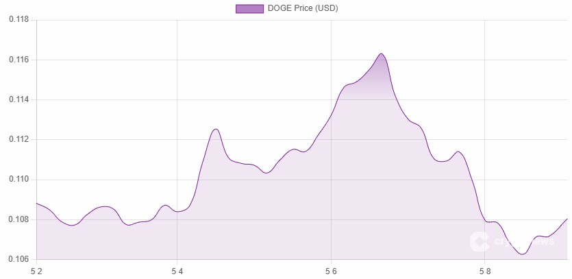 狗狗币涨停，Maxi Doge 募资近 500 万