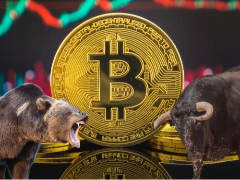 Crypto牛熊周期实战：如何精准捕捉市场拐点？