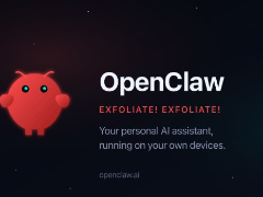 实操指南：利用OpenClaw连接Polymarket与Hyperliquid全解析