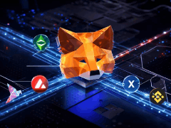 MetaMask如何添加自定义网络？完整操作指南与注意事项