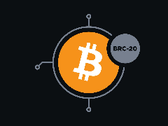BRC-20深度解析：比特币链上的代币革命与机遇