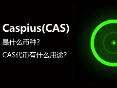 Caspius(CAS)代币解析：构建具身智能数据网络的原生资产