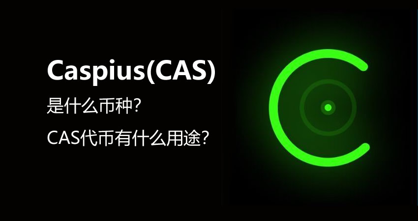 Caspius(CAS)是什么币种？CAS代币有什么用途？