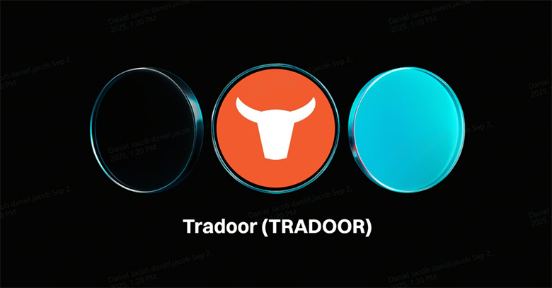 Tradoor(TRADOOR)币是什么?