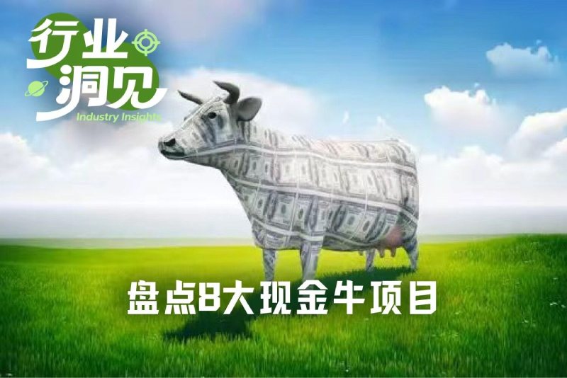 8大熊市现金牛项目介绍