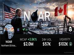 深度解析NOAR代币：是能源RWA机遇还是高风险投机陷阱？