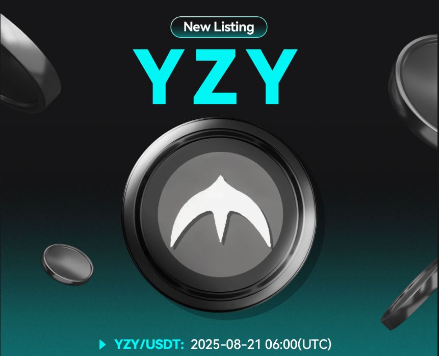 YZY币深度解析：支付生态、代币模型及投资风险全览