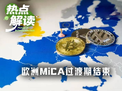 MiCA过渡期终结：75%服务商出局，欧洲加密市场迎来大洗牌