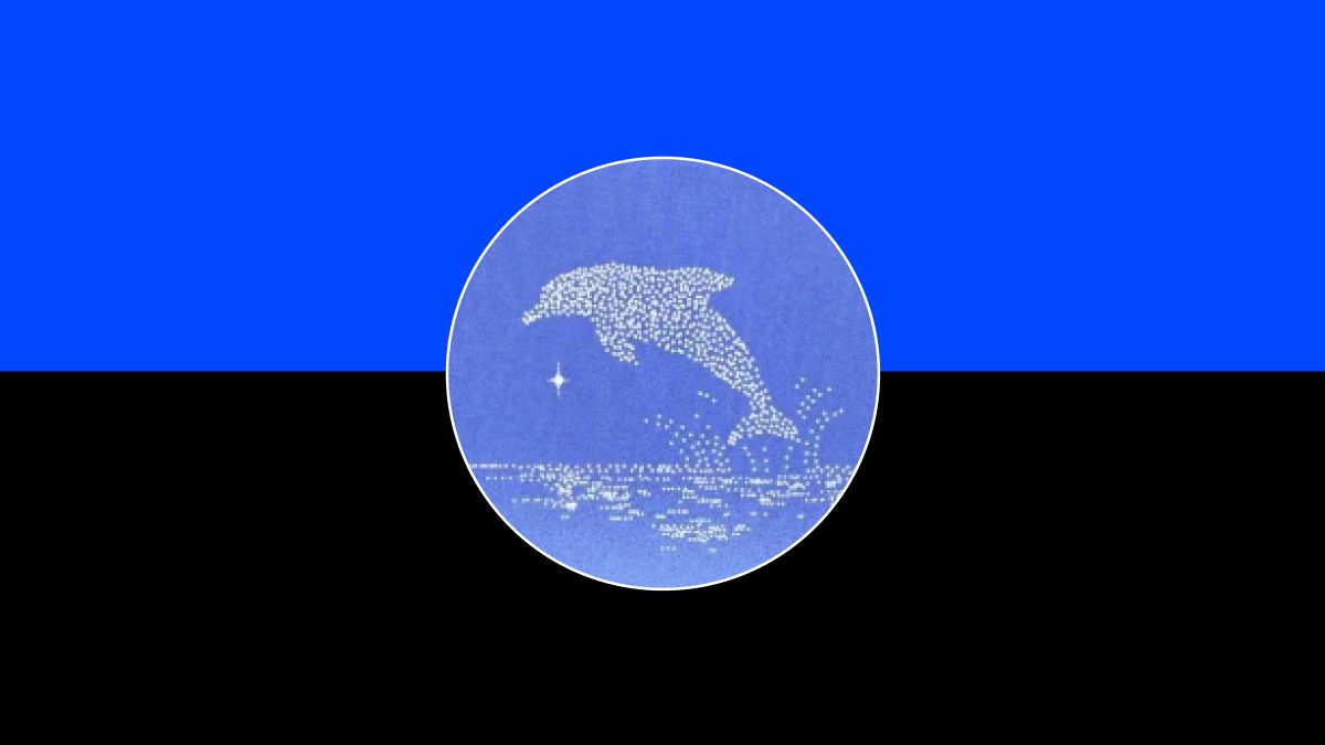 什么是 Dolphin (POD)币？运作方式、代币经济学介绍