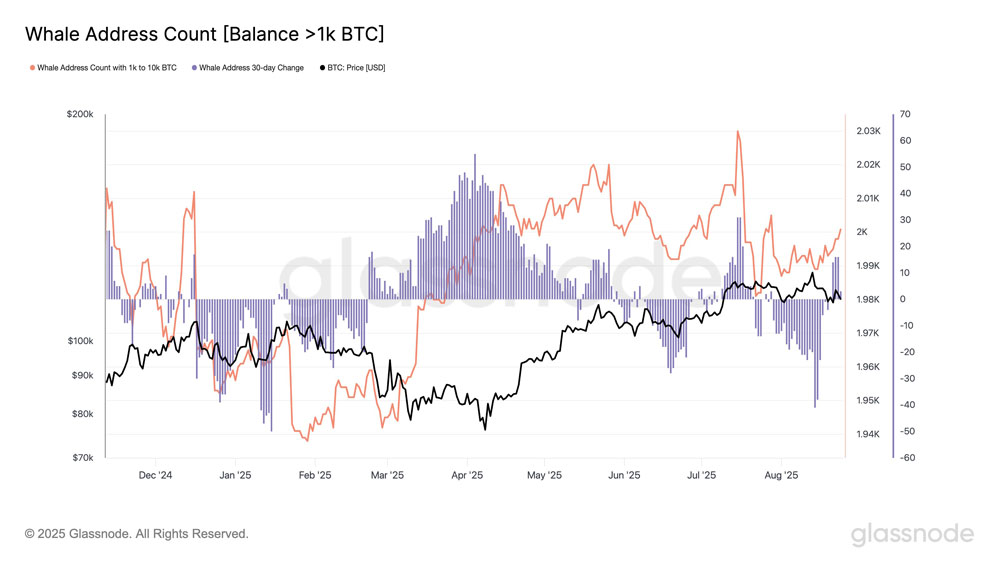 比特币(BTC)牛市会在111,000美元结束?本周需关注的BTC五大要点