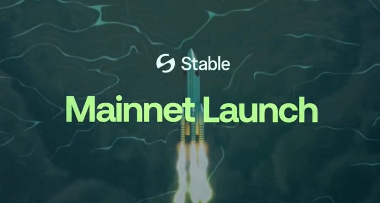 Stable稳定币区块链介绍