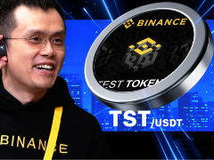 揭秘TSTBSC：起源、前景分析及新手购买指南