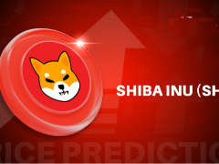 柴犬周销量激增149%却伴随62%消耗率下滑，价格能否突破阻力？