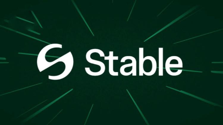 Stable链深度解析：专为USDT打造的Layer-1基础设施