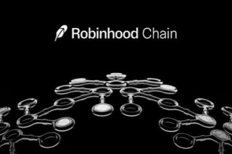 Robinhood Chain生态项目盘点