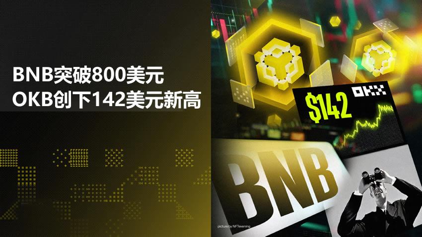 BNB强势突破800美元大关，OKB刷新142美元纪录