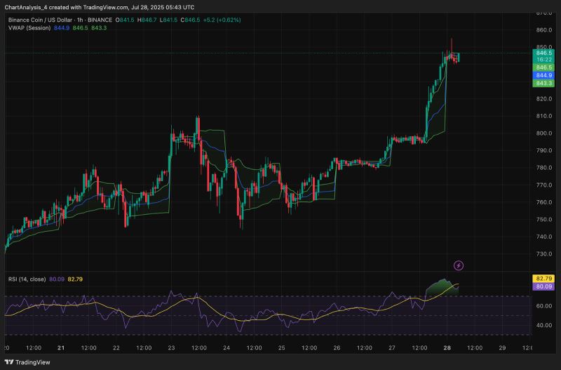 BNB 价格今日为何上涨?_图2