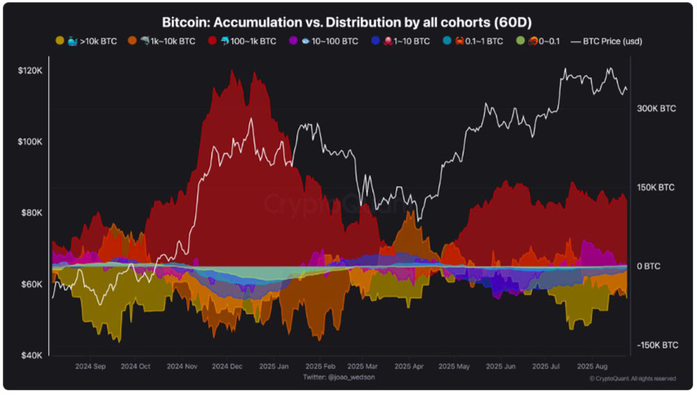 比特币(BTC)牛市会在111,000美元结束?本周需关注的BTC五大要点