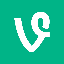 VineCoin（VINE）全解析：起源、购买指南及2025-2030年价格展望