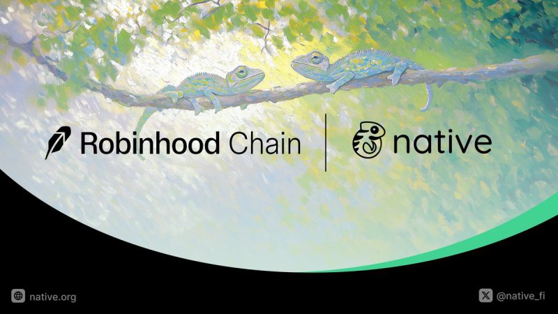 Robinhood Chain生态项目盘点