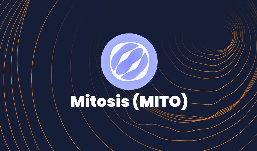 Mitosis (MITO) 深度解析：重塑DeFi流动性与代币经济模型