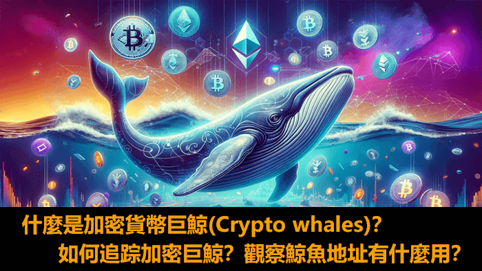 加密货币巨鲸详细介绍