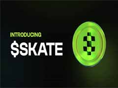 解析SKATE：首个跨VM互通协议如何破解区块链碎片化难题