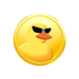DuckChain (DUCK) 项目解析及2026-2030年价格走势展望
