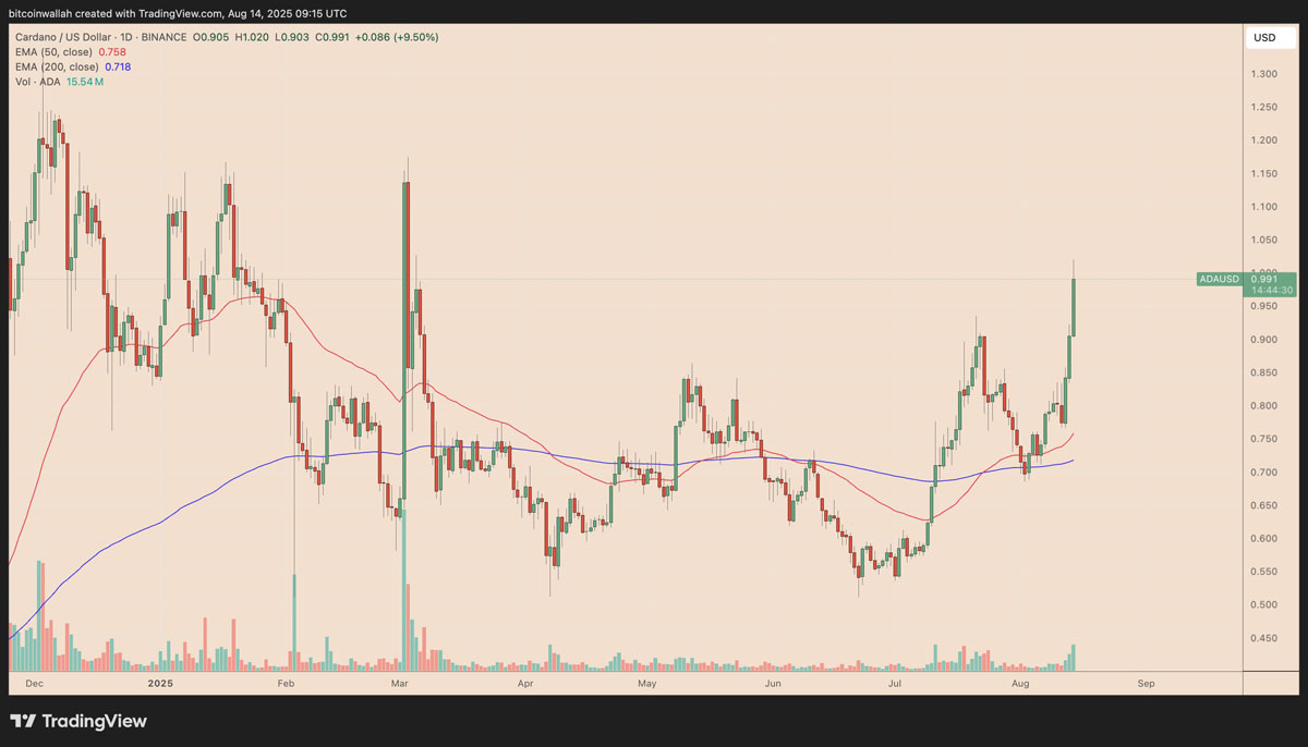 卡尔达诺(Cardano)分析师预测:未来数周或将迎来150%的“强势牛市反弹”
