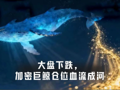 BTC、ETH双杀！巨鲸巨额多头承压，谁在硬扛下跌行情？