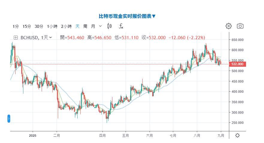 比特币现金(BCH币)是什么?2025年还有上涨空间?BCH未来展望