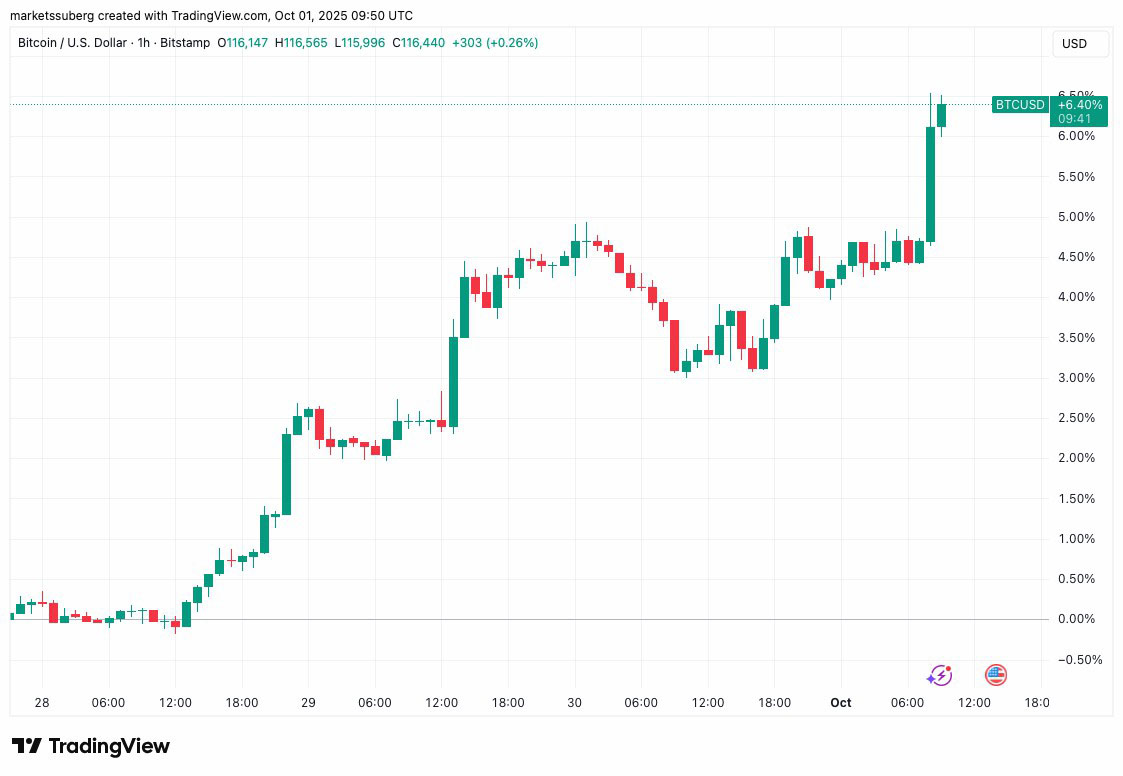 黄金比特币同涨,BTC破11.7万