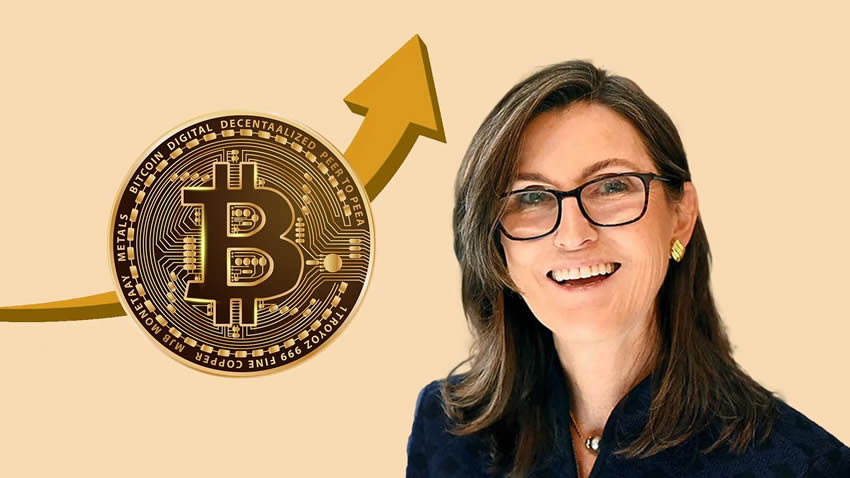 对话Cathie Wood：ARK三大核心布局，为何锁定BTC、ETH与Solana