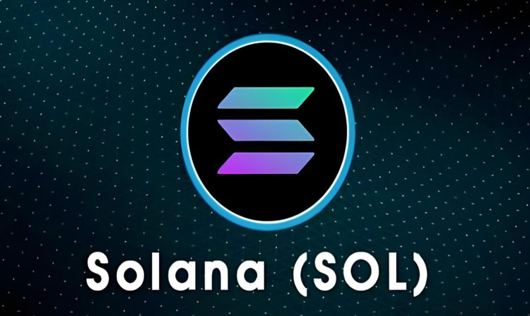 Token 2049深度对话：Solana金库战略如何重塑资产负债表与生态飞轮
