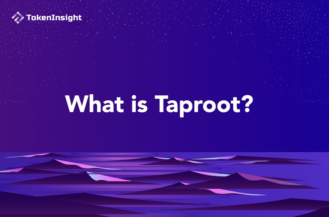 深度解析Taproot：比特币的隐私革命与性能飞跃